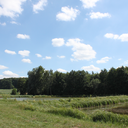 textmeplease22 avatar