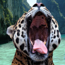 thankyou-honey avatar