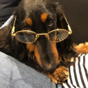 thanxforthevenom avatar