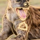 thatbasictherian avatar