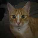 thatbitchthescammer avatar