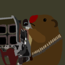 thatcombatwombat avatar