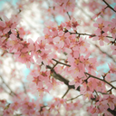 thatgirlinthecornerxo avatar