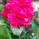 thatgirlyouvenevertalkedto avatar