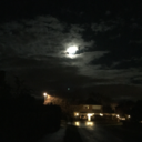 thats-a-no-from-me avatar