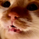 thatsierrachick avatar