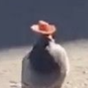 the-20pigeons-in-a-trenchcoat avatar