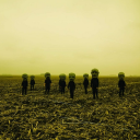 the-actual-universe avatar