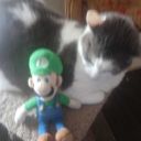 the-adventures-of-plush-luigi avatar