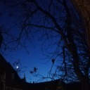 the-angelheaded avatar