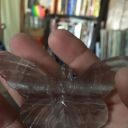 the-asexuality-blog avatar