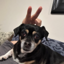 the-barrel-man avatar