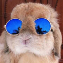 the-battleflag avatar