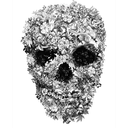 the-beautiful-insomnia avatar