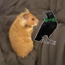 the-biornicles avatar