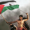 the-bitch-in-the-tower avatar