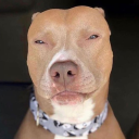 the-black-knight666 avatar