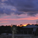 the-black-mamba3 avatar