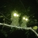 the-candy-man avatar