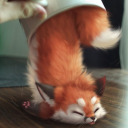 the-coffee-fandom avatar