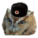 the-communist-owl avatar