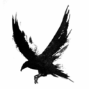 the-crow-crown avatar