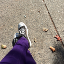 the-die-brarian avatar