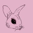 the-ear-of-vangogh avatar