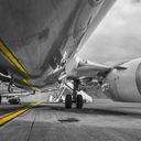 the-elite--pilot-blog avatar