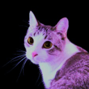 the-familiars-union avatar