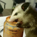 the-fen-wilds avatar