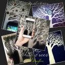 the-firefly-huntress avatar