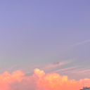 the-flower-faerie avatar