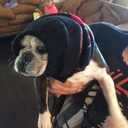 the-generalissimo avatar