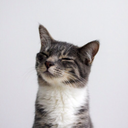 the-girl-next-d0or avatar