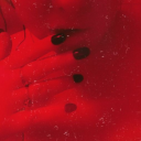 the-girl-who-loves-monsters86 avatar