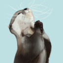 the-katuki-niliforv avatar