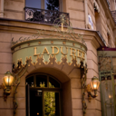 the-laduree-blog avatar