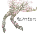 the-lime-equine avatar