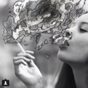 the-little-farm-house avatar