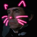 the-littlest-architect avatar