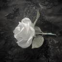 the-lost-undertaker avatar