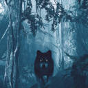 the-lycans-howl avatar