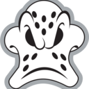 the-mighty-duck avatar