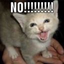 the-outskirts-of-squidville avatar