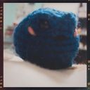 the-painted-roses avatar