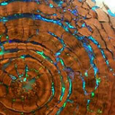 the-pandemonium-pagan avatar