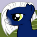 the-pet-petra avatar