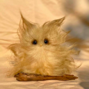 the-pigeons-hoard avatar