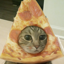 the-pizzacat avatar